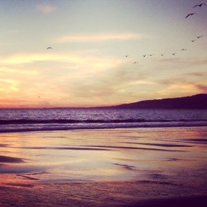 Santa Monica Beach Los Angeles Nunu Pictures