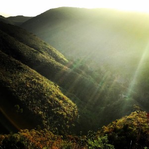 Santa Monica Mountains Nunu Pictures