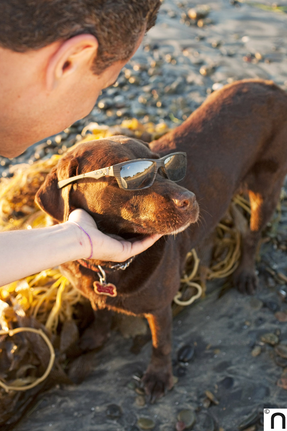 Marco bromeando con su perrita de raza labrador mientras conversamos de cosas serias.
